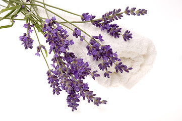 Image showing lavender bath