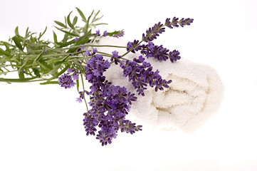 Image showing lavender bath