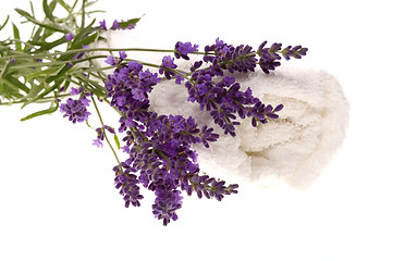 Image showing lavender bath