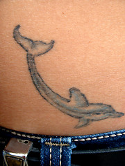 Image showing Dolphin Tattoo