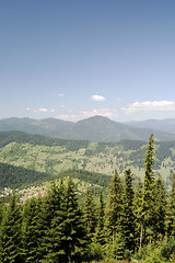 Image showing Forest landscape