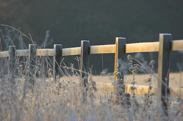 Image showing Frosty Fence