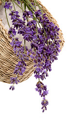 Image showing lavender bath