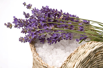 Image showing lavender bath