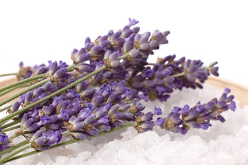 Image showing lavender bath