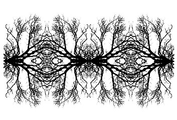 Image showing Abstract tree branch repeat