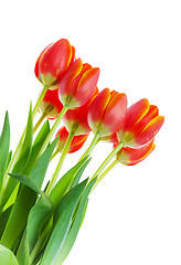 Image showing Tulip bouquet