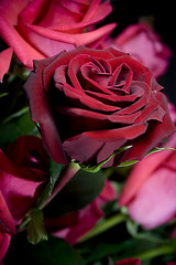 Image showing red roses bouquet