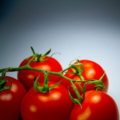 Image showing fresh tomatoes