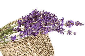 Image showing lavender bath