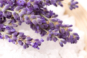 Image showing lavender bath