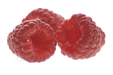 Image showing raspberries