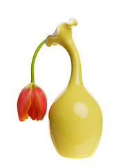 Image showing Limp tulip