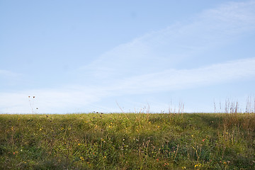 Image showing Green Grass and Sky