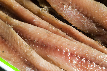 Image showing flat fillets of anchovies in can