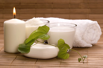 Image showing milk spa