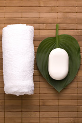 Image showing milk bath. white spa