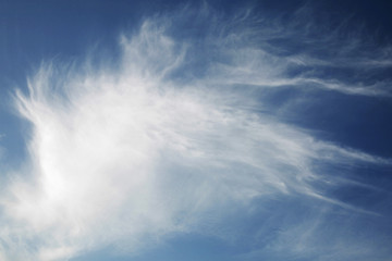 Image showing Wild Cloud