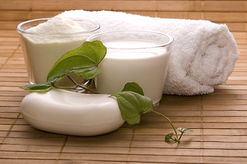 Image showing milk bath. white spa