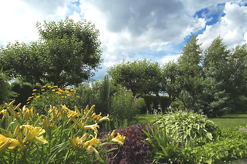 Image showing summer landscape