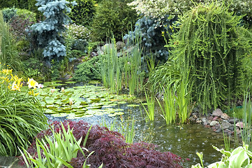 Image showing rainy day in summer