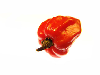 Image showing Red Vegetable