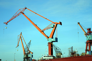 Image showing Red Crane