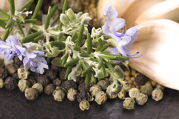 Image showing herbs and spices