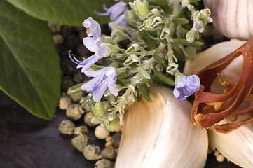 Image showing herbs and spices