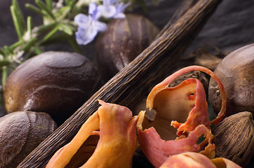 Image showing aromatic herbs and spices