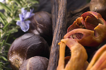 Image showing aromatic herbs and spices