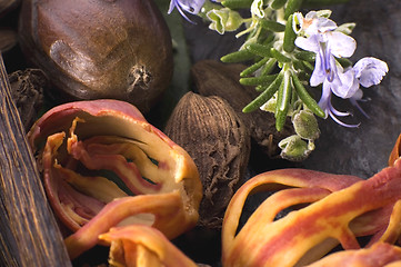 Image showing aromatic herbs and spices