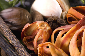 Image showing aromatic herbs and spices