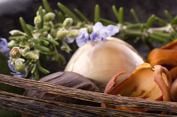 Image showing aromatic herbs and spices