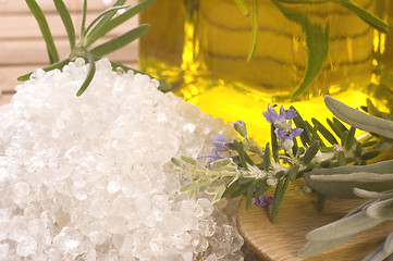 Image showing herbs and spices. rosemary, lavender, salt and olive