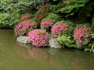 Image showing Japanese Garden