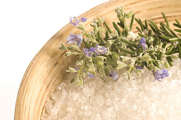 Image showing rosemary salt. aroma bath