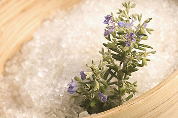 Image showing rosemary salt. aroma bath