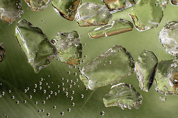 Image showing fresh green. ice cubes