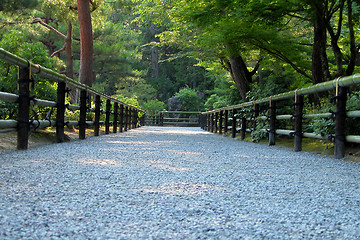 Image showing Walking Path