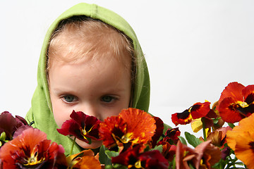 Image showing Little gardener