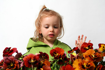 Image showing Little gardener