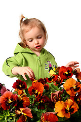 Image showing Little gardener