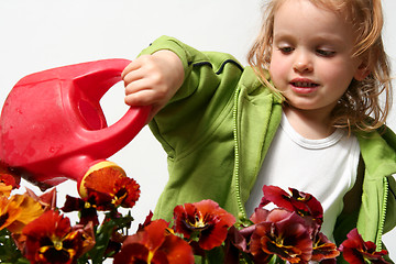 Image showing Little gardener