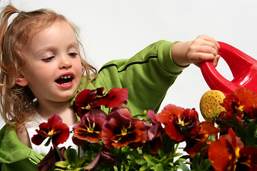 Image showing Little gardener