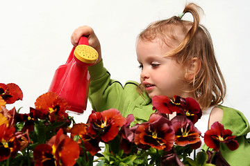 Image showing Little gardener