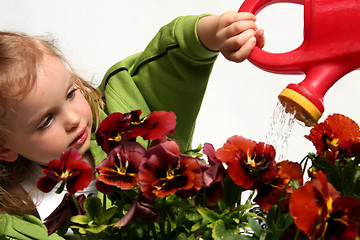 Image showing Little gardener