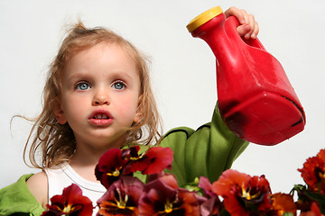 Image showing Little gardener