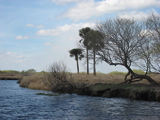 Image showing Riverside