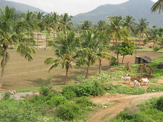 Image showing Indian Village